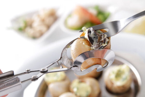 Pince à escargots INOX 170 MM – Image 4