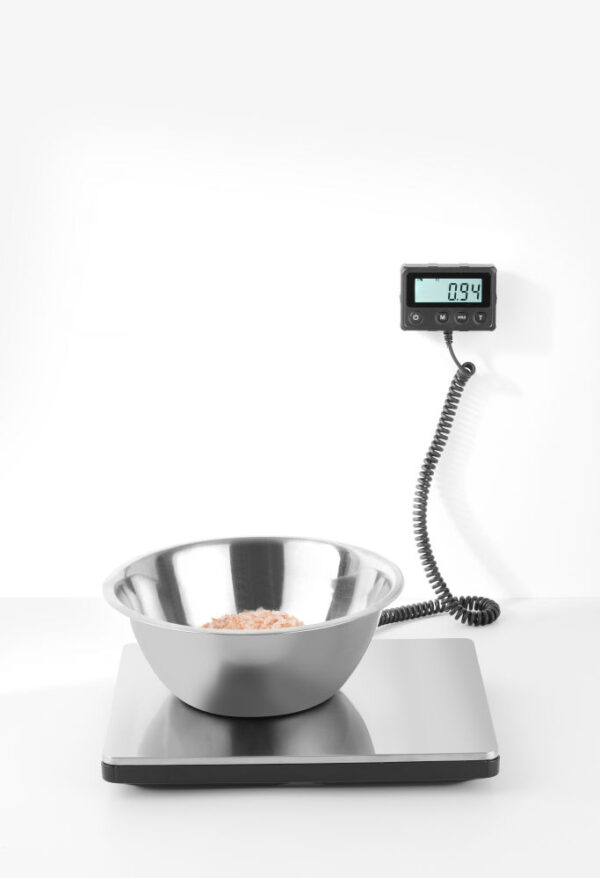 Balance Électronique 100 kg avec affichage séparé – Image 5