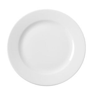 Assiette plate 270 mm Delta