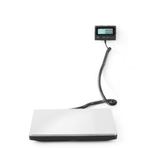 Balance Électronique 100 kg avec affichage séparé