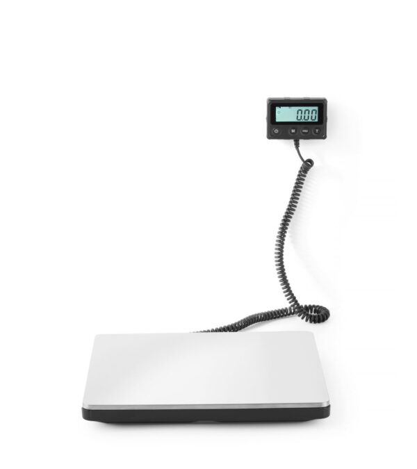 Balance Électronique 100 kg avec affichage séparé