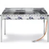 Barbecue 4 bruleurs Green Fire avec roulettes Profi Line
