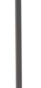 Brosse nettoyante pour four à pizza 250x1030 mm