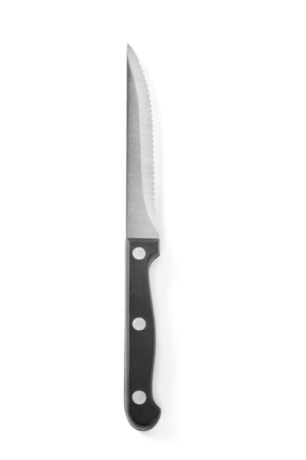 Couteau à steak 215 mm inox manche en ABS