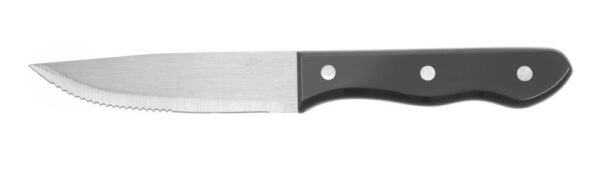 Couteau à steak XL 250 mm inox manche en ABS