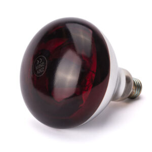 Lampe infrarouge 250W rouge