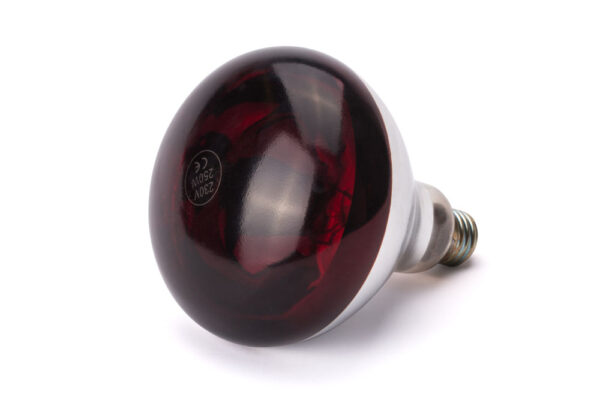 Lampe infrarouge 250W rouge