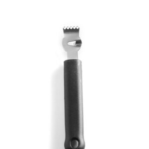 Zesteur de citron manche PP